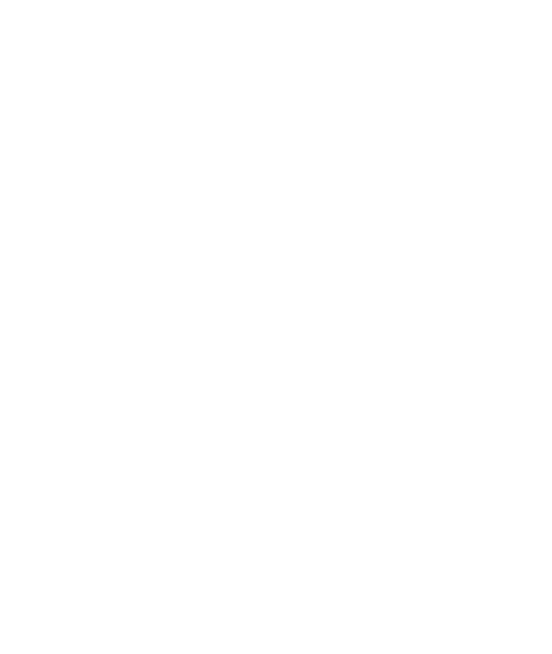 Nsure Logo